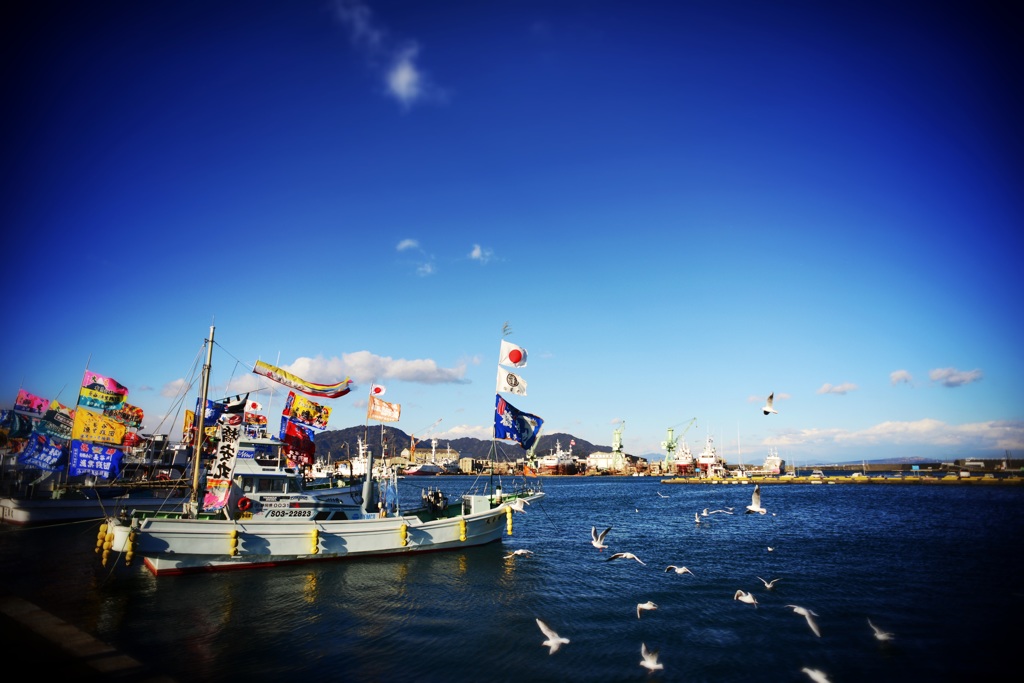 漁港風景/謹賀新年