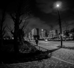 Night Scene