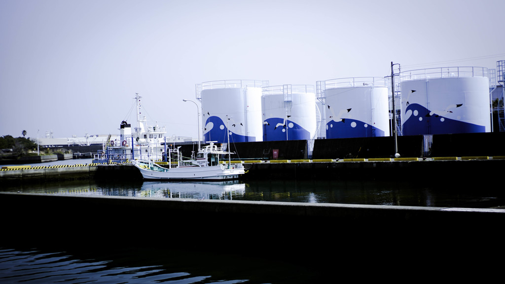 長閑（たこ丸）