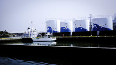 長閑（たこ丸）