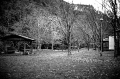ALONE