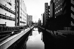 陰陽