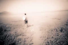 fade out