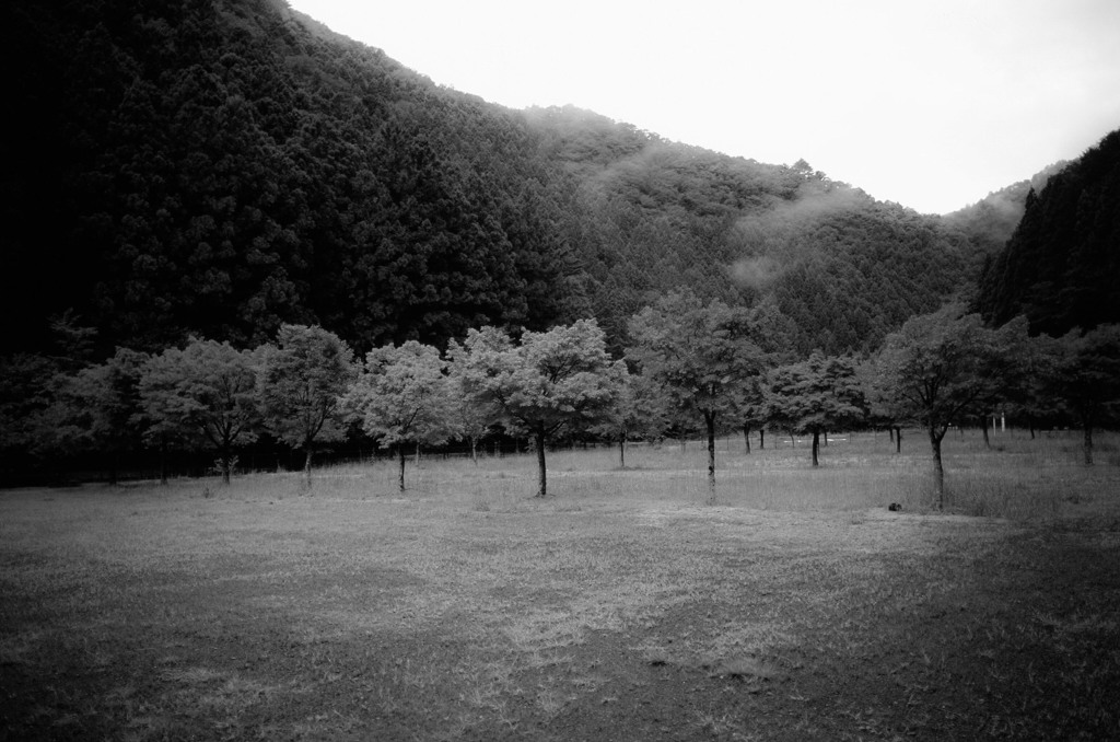 いろづき（モノクロ）