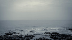 やっぱり海が好き