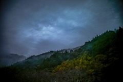 里山の朝３