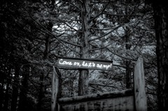 Come on , let's camp