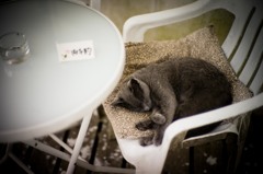 reserved