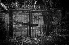 CLOSED GATE