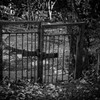 CLOSED GATE