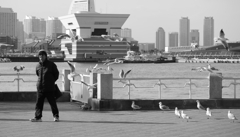 鳥使いのおじさん