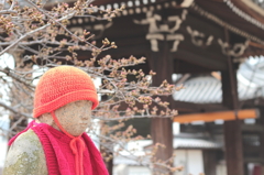 春を待つ