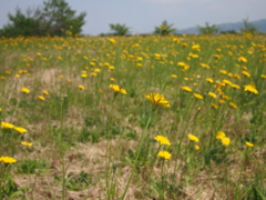 P6280266