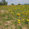 P6280266