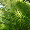 DSC00102