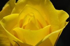 IMGP2620