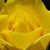 IMGP2620