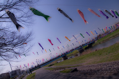 青空に向かって