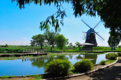 夏景色