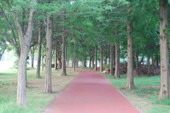 Walking road