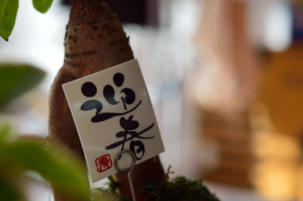 迎春