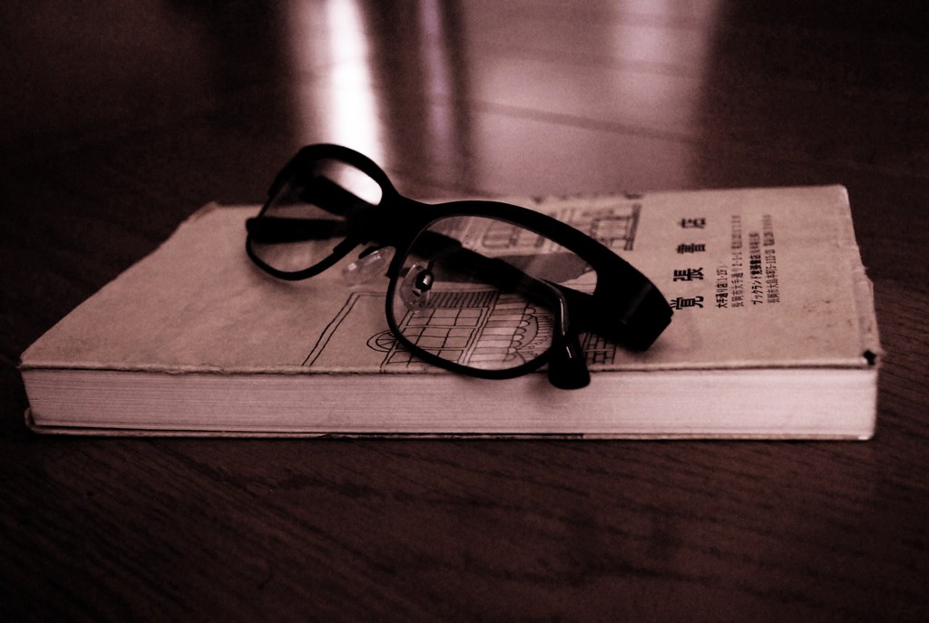 Novel
