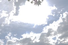 太陽