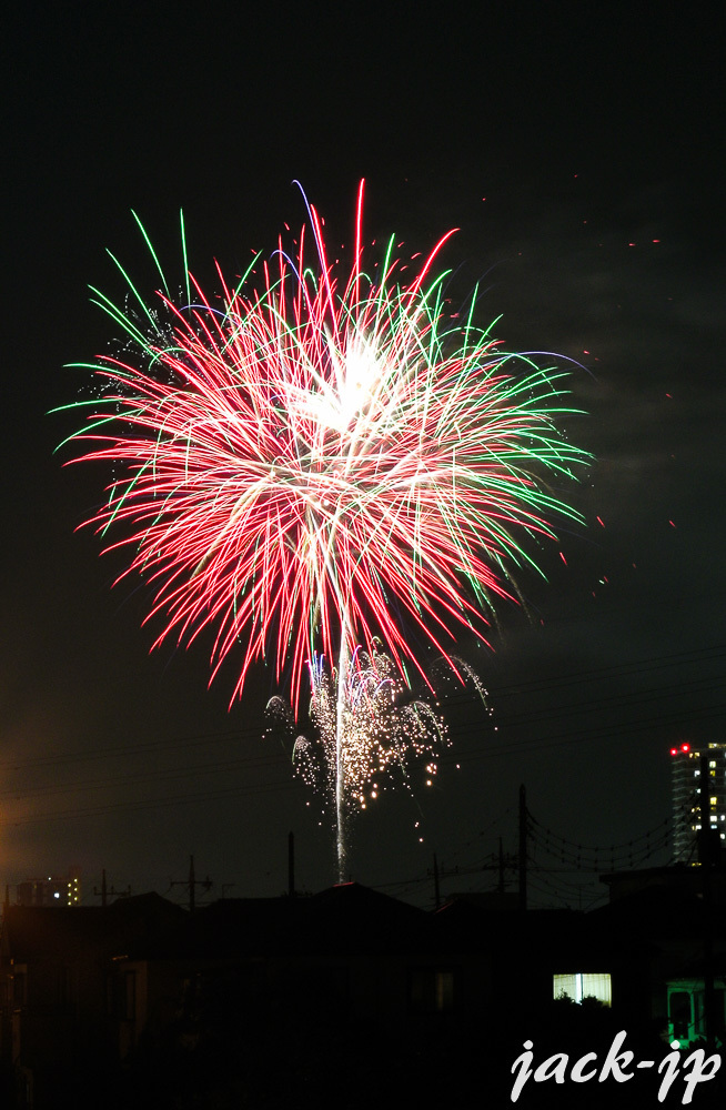 夜空に咲く・・・