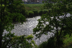 夏の川
