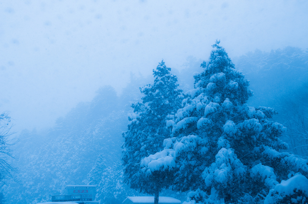 雪模様