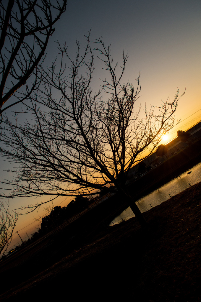 夕日を浴びて。②