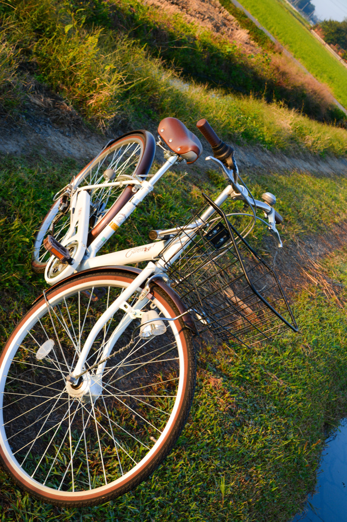 自転車にのって