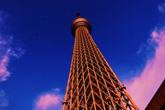 見上げれば・・・