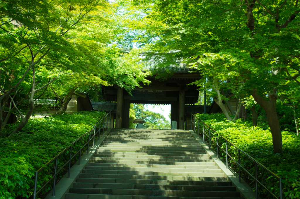 古都　鎌倉1