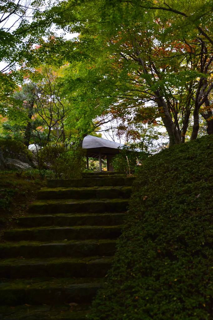 日本庭園散策