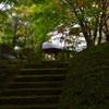 日本庭園散策
