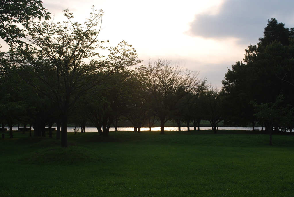 公園
