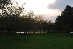 公園
