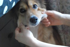 いい子（笑）