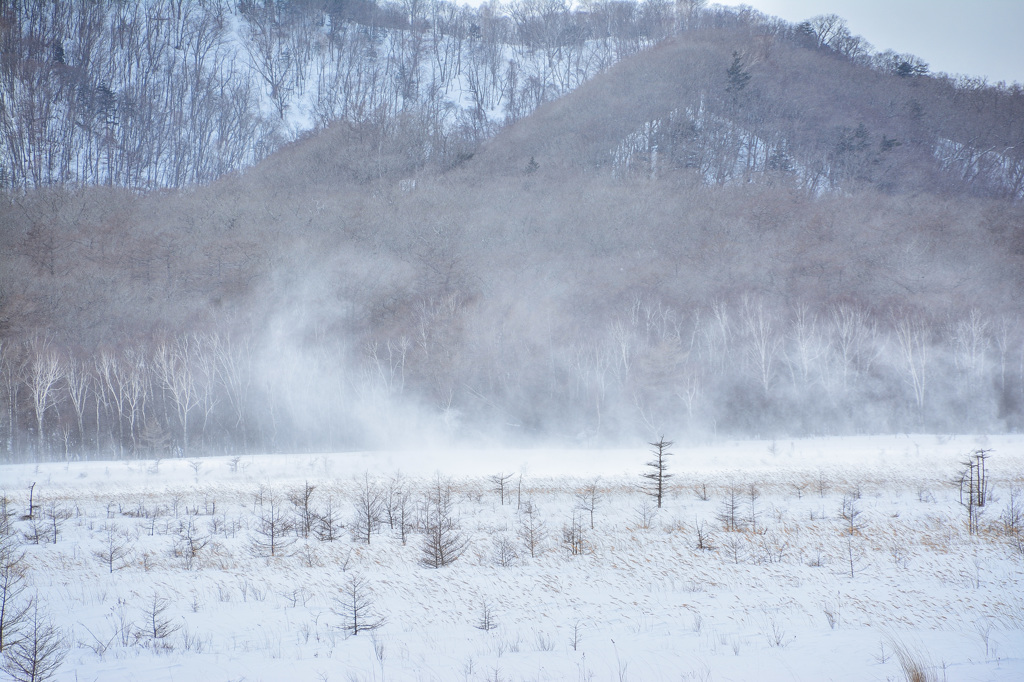 雪原の戦場ヶ原