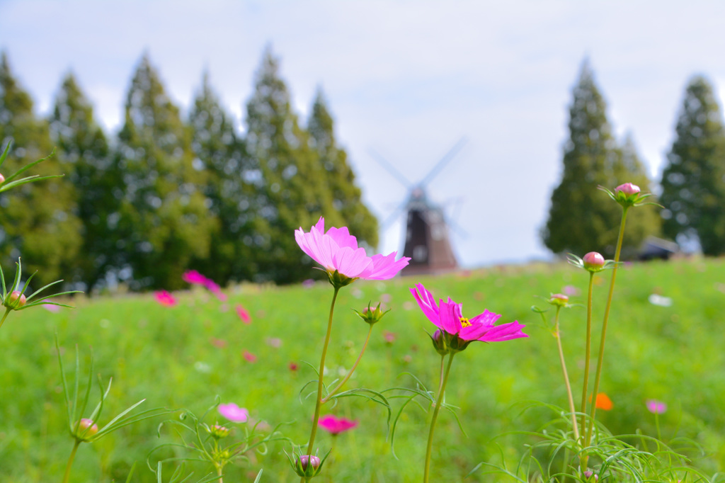 HURRY GO ROUND　③