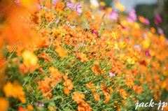 Flower jewelry