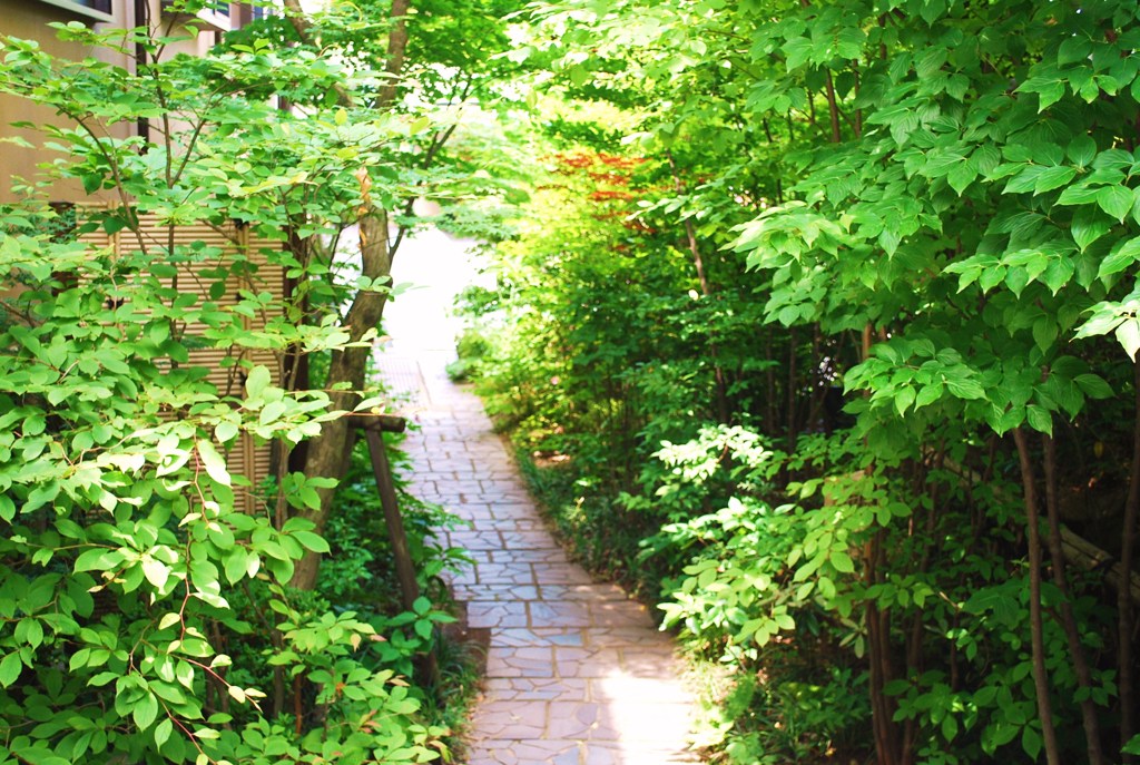 初夏の路地裏