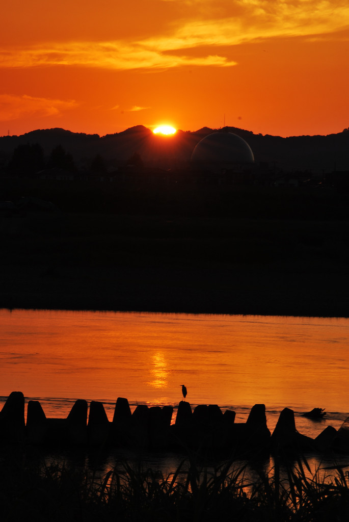 信濃川の夕日