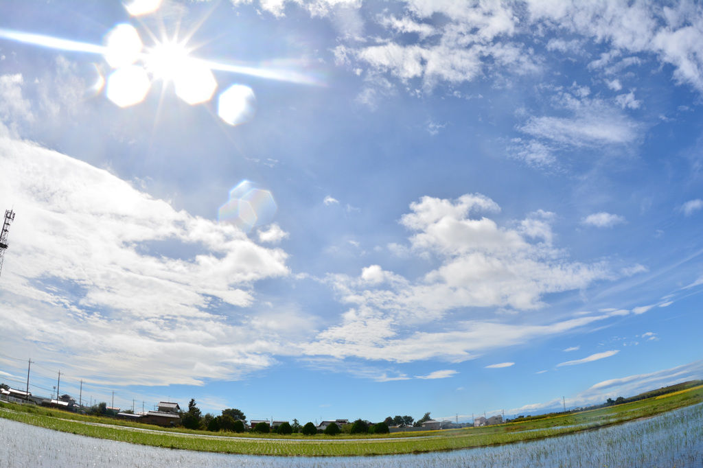 IN THE SKY①