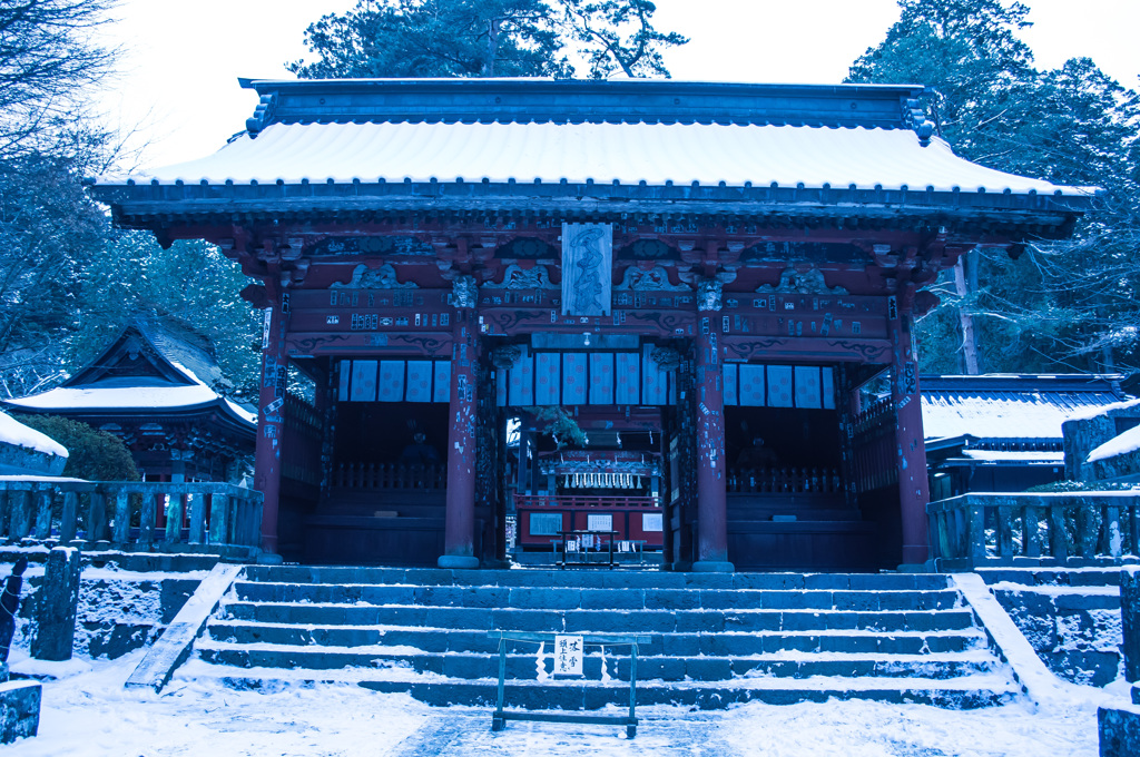 社
