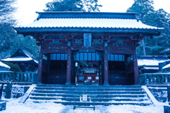 社