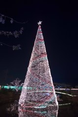 クリスマスツリー①
