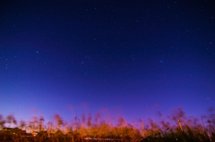 星達の夜