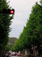 赤信号